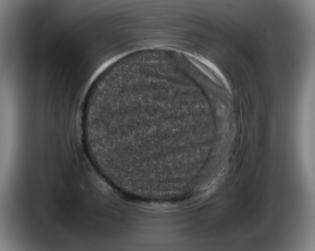 X0000085230983200703301721