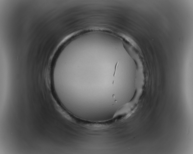 X0000085230984200703301721