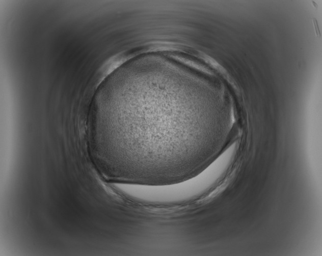 X0000085230985200703301721