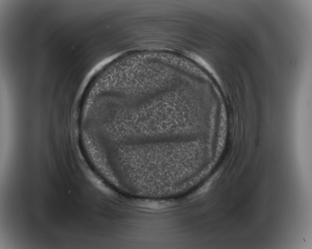 X0000085230987200703301721