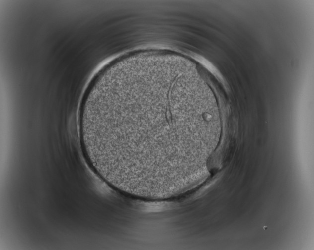 X0000085230988200703301721