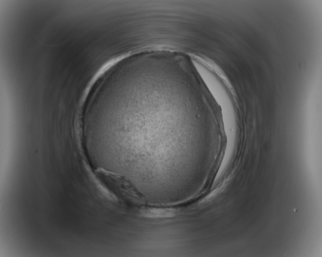 X0000085230989200703301721
