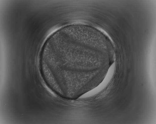 X0000085230991200703301721