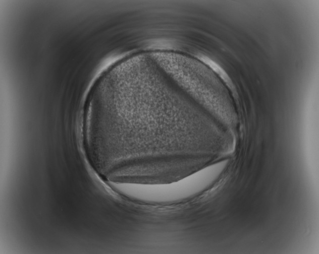 X0000085230992200703301721