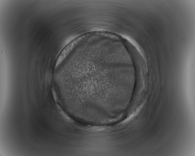 X0000085230993200703301721
