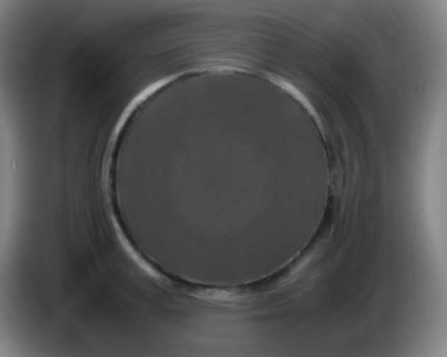 X0000085230995200703301721