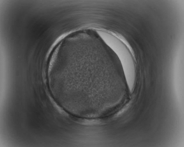 X0000085230997200703301721