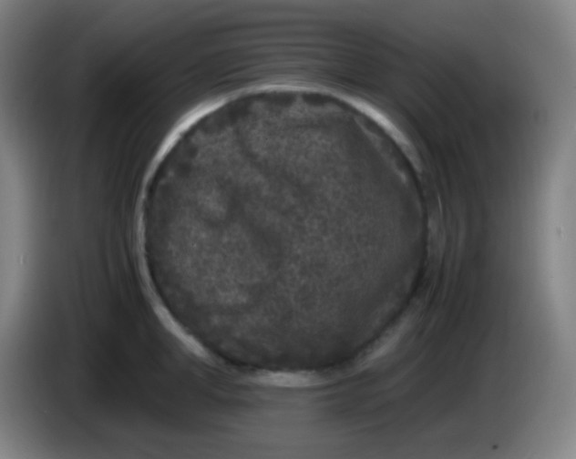 X0000085230998200703301721