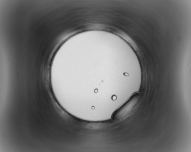 X0000085231000200703301721