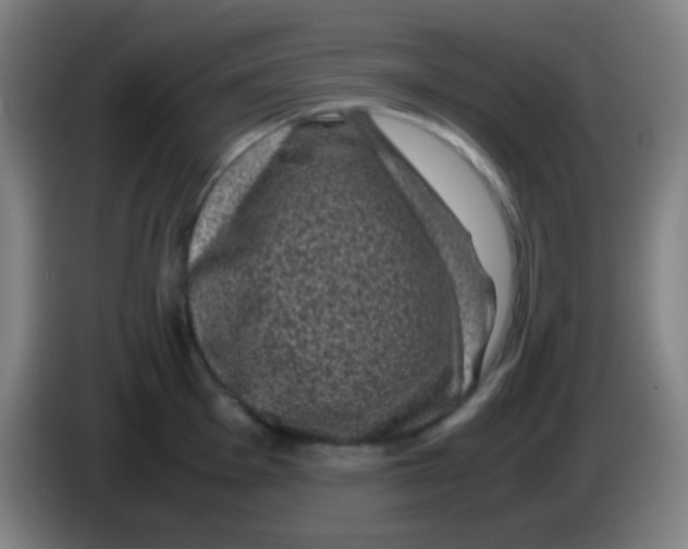 X0000085231001200703301721