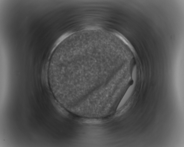 X0000085231002200703301721