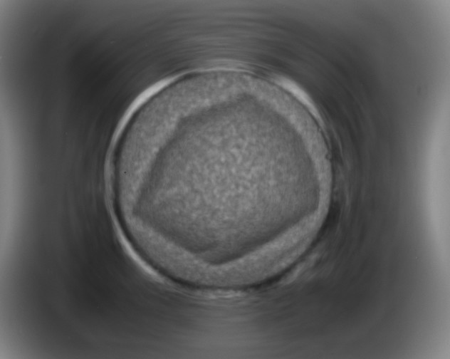 X0000085231003200703301721