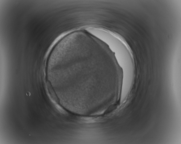 X0000085231005200703301721