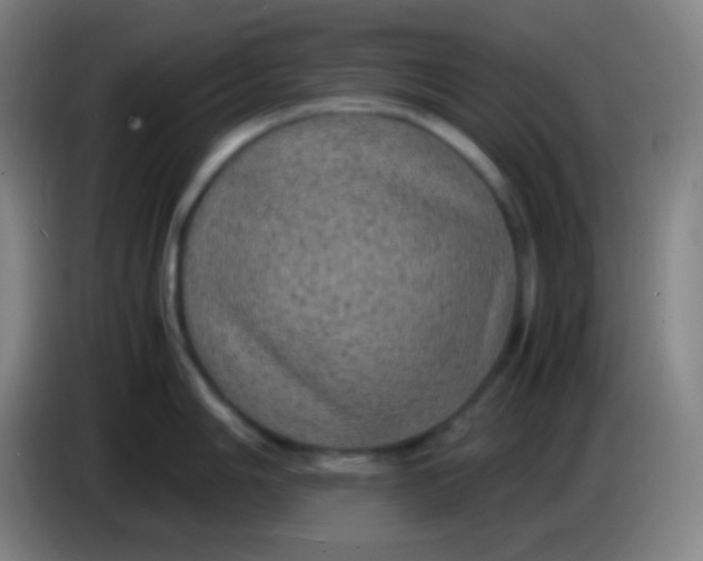 X0000085231006200703301721