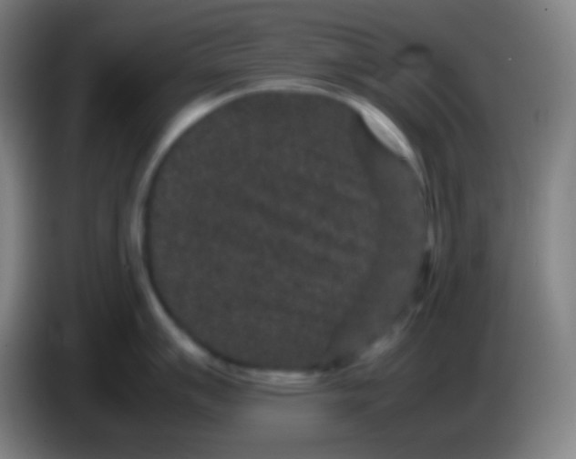 X0000085231007200703301721
