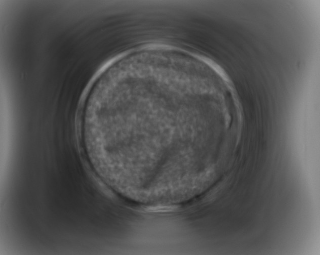X0000085231008200703301721
