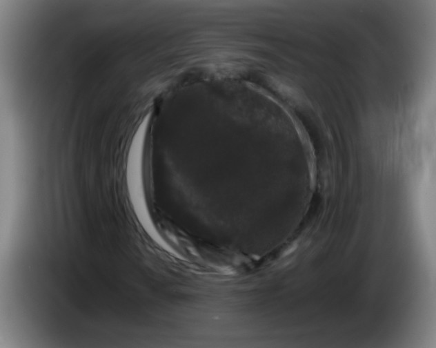 X0000085231010200703301720