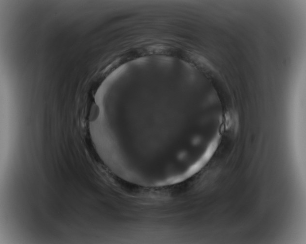X0000085231011200703301720