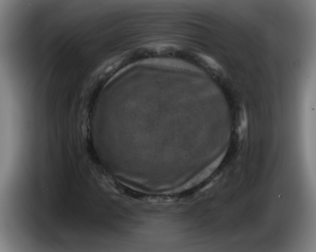 X0000085231014200703301720