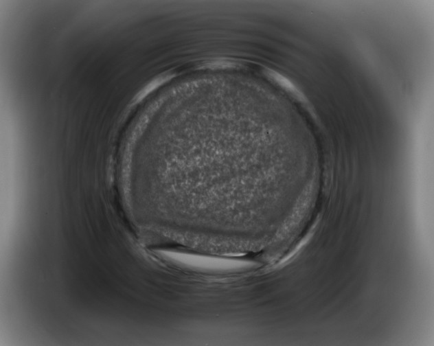 X0000085231017200703301720