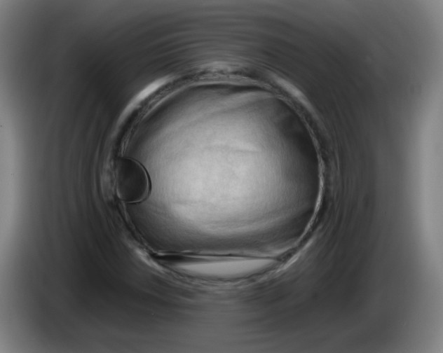 X0000085231018200703301720