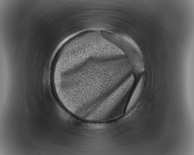 X0000085231020200703301720