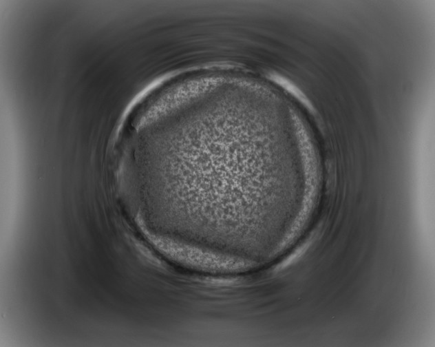 X0000085231021200703301720