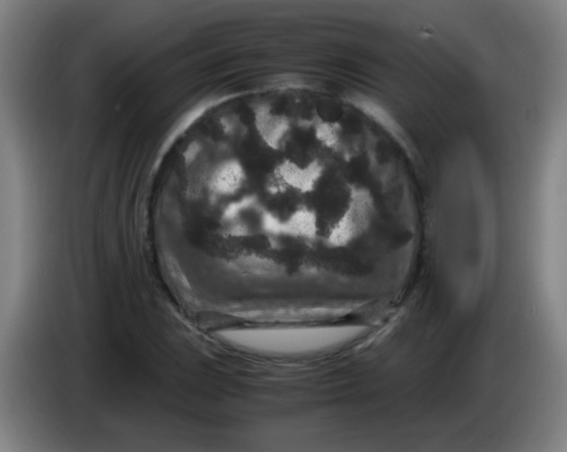 X0000085231023200703301720