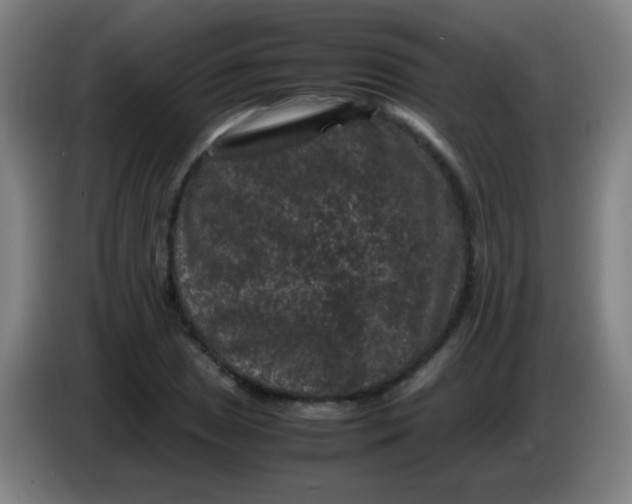 X0000085231025200703301720