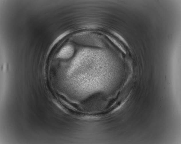 X0000085231026200703301720