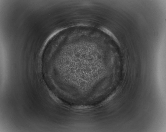 X0000085231027200703301720