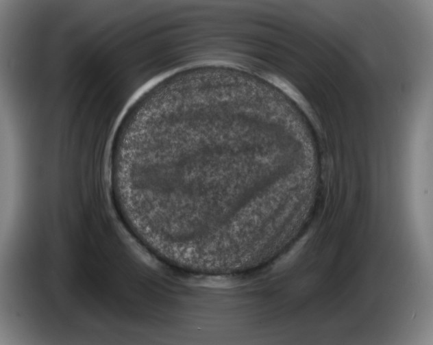 X0000085231028200703301720