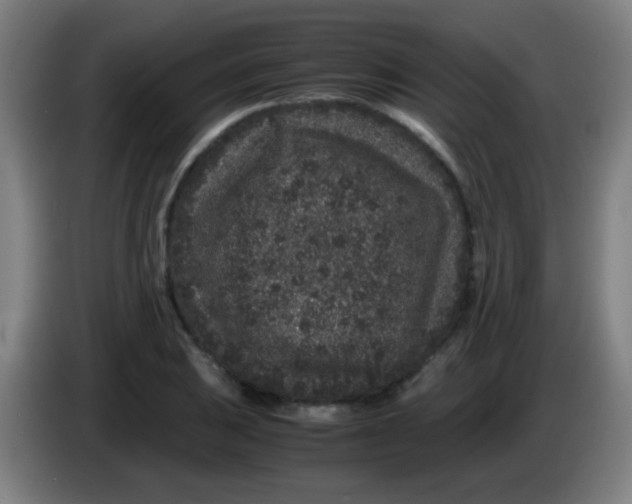 X0000085231031200703301720