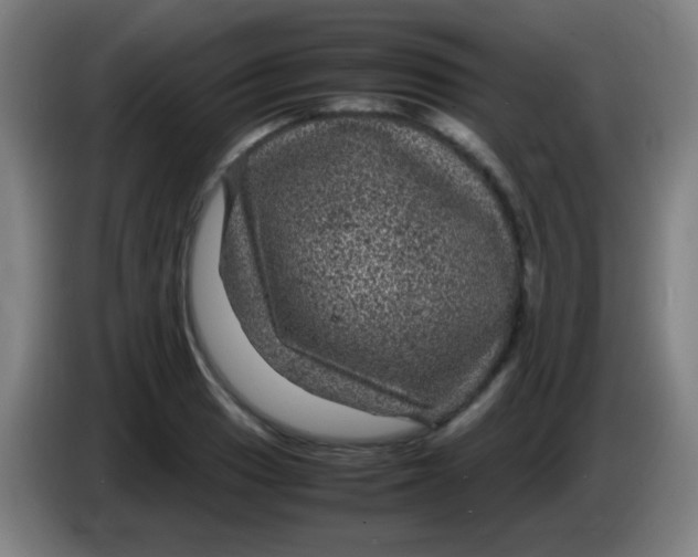 X0000085231033200703301720