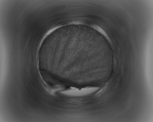 X0000085231035200703301721