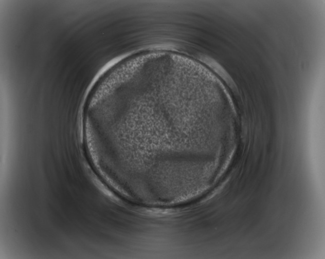 X0000085231036200703301721