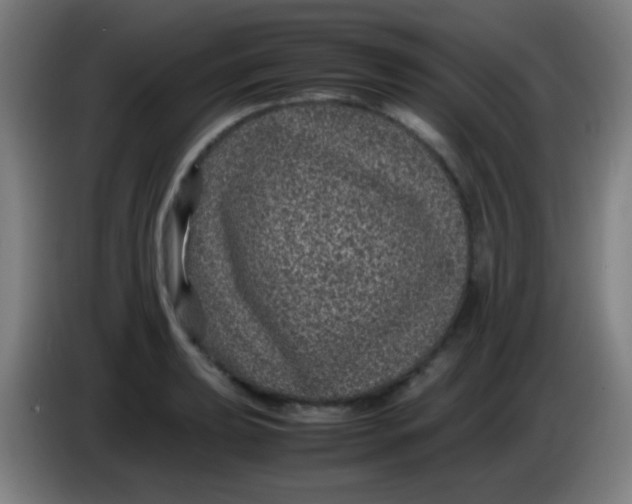 X0000085231039200703301721