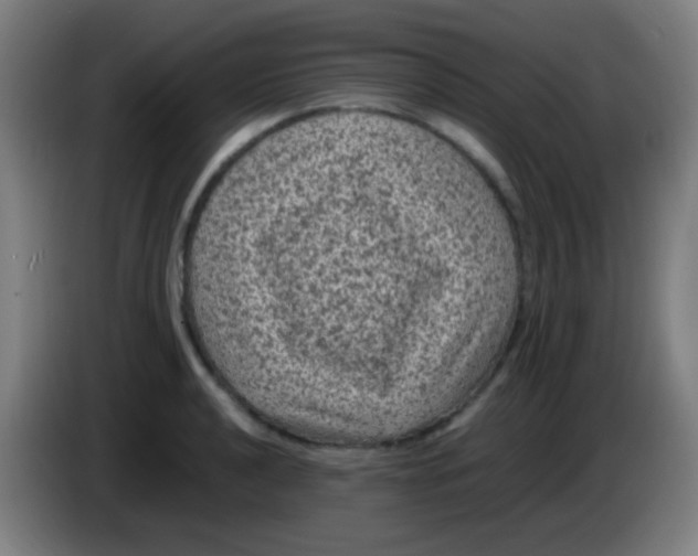 X0000085231040200703301721