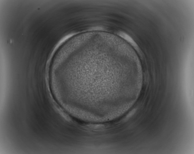 X0000085231043200703301721