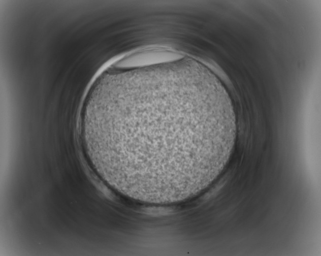 X0000085231044200703301721