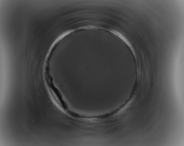 X0000085231045200703301721