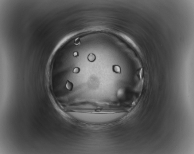 X0000085231046200703301721