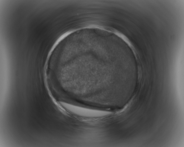 X0000085231048200703301721