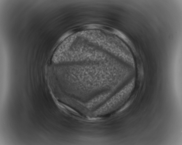 X0000085231049200703301721