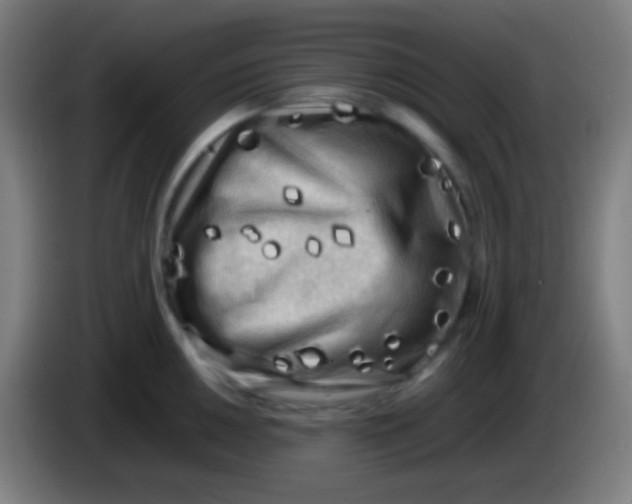 X0000085231050200703301721