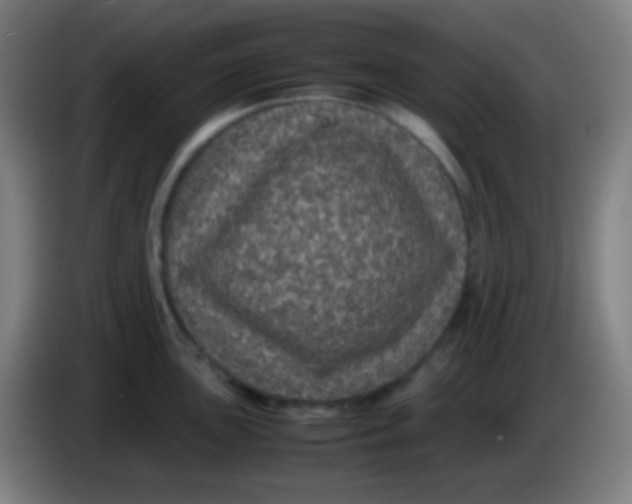 X0000085231051200703301721