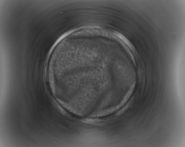X0000085231052200703301721