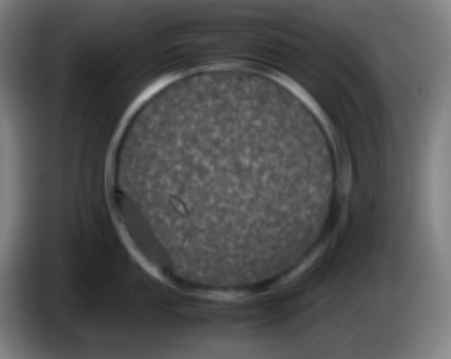 X0000085231053200703301721