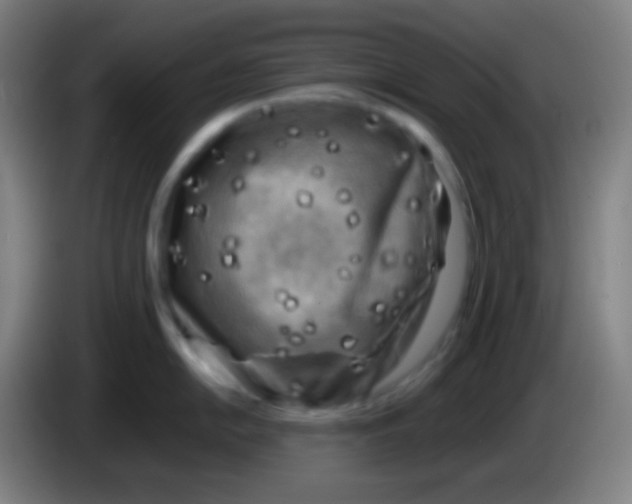 X0000085231054200703301721