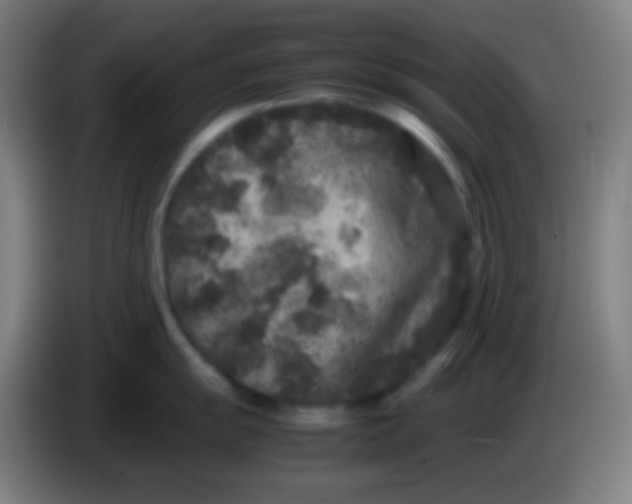 X0000085231055200703301721